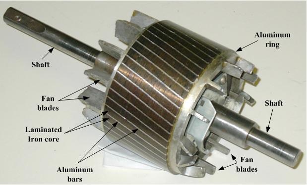 Kavezni rotor Aluminijumski prsten Osovina Leptiri ventilatora