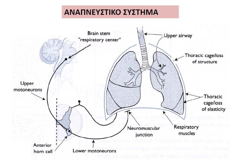 Αερισμός