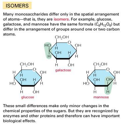 Για παράδειγμα, γλυκόζη, γαλακτόζη κα μαννόζη έχουν τον ίδιο τύπο (C 6 H 12 O 6 ) αλλά διαφέρουν στην διάταξη των ομάδων γύρο από ένα ή δυο άτομα άνθρακα.