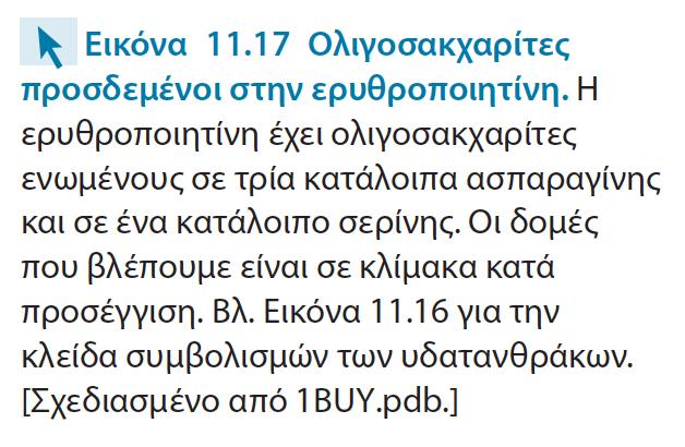 Είναι μία ορμόνη που εκκρίνεται από τους νεφρούς και διεγείρει την παραγωγή ερυθρών αιμοσφαιρίων.