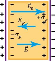 Câmpul electrostatic în medii dielectrice sau plds p P, dslcos cos P cos. p Însă P cos este egal cu proiecţia vectorului P pe normala exterioară la suprafaţa dielectricului. Astfel, Din (1.