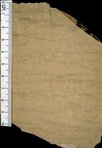sačuvane ρ= 2,8 2,9 g/cm 3 ρ 0 = 2,70 2,84 g/cm 3 p = 0,8 5,0 % w = 0,5 3 % β p = 140 260 MPa Česta djelomična dolomitizacija.