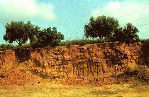 mineral nastali kemijskim trošenjem stijene (gline, Fe i Al oksihidrokside) LATERITI kore