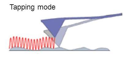 Μέθοδος Tapping Mode Στην λειτουργία tapping mode ο πρόβολος ταλαντώνεται πάνω-κάτω κοντά στην συχνότητα συντονισμού του με την βοήθεια ενός μικρού πιεζοηλεκτρικού στοιχείου που προσαρμόζεται, κατά