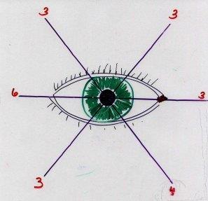 Οι κινήσεις των δύο οφθαλμών είναι συζυγείς δηλαδή οι δύο οφθαλμοί κινούνται μαζί με παρόμοιο τρόπο ώστε η
