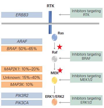 Αιτιοπαθογένεια PM BRAF-V600E BRAF gene locus: LCH PMs BRAF-V600D and