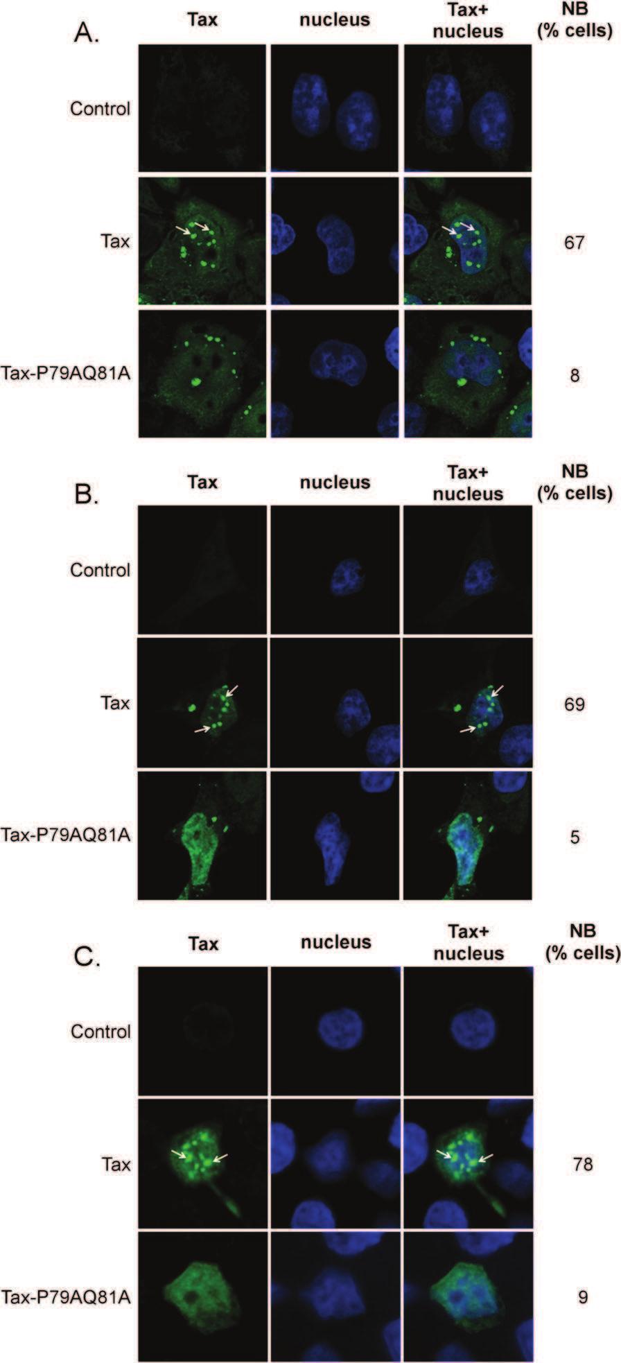 Bonnet et al. Retrovirology 2012, 9:77 Page 4 of 16 http://www.retrovirology.