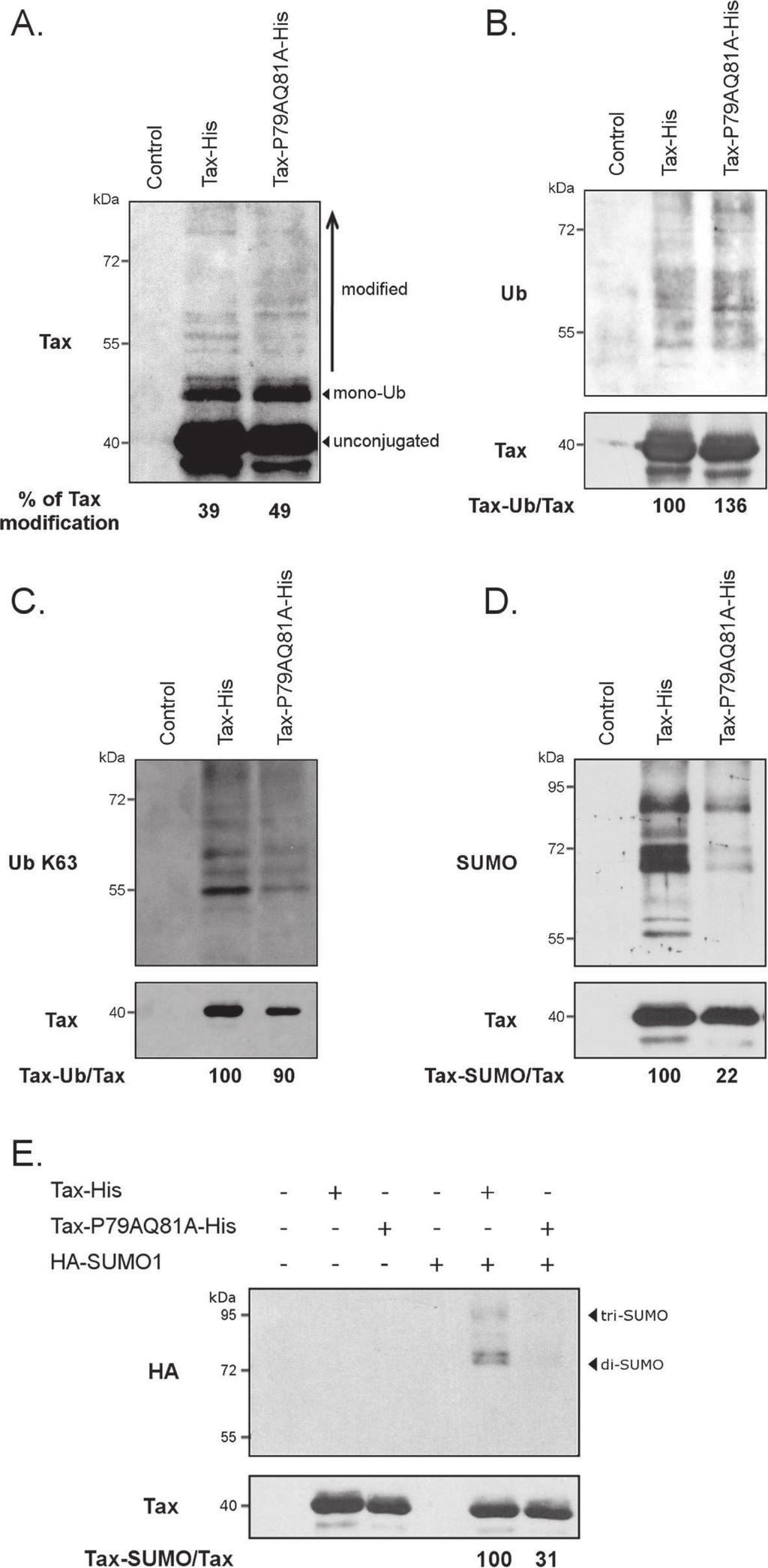 Bonnet et al. Retrovirology 2012, 9:77 Page 8 of 16 http://www.