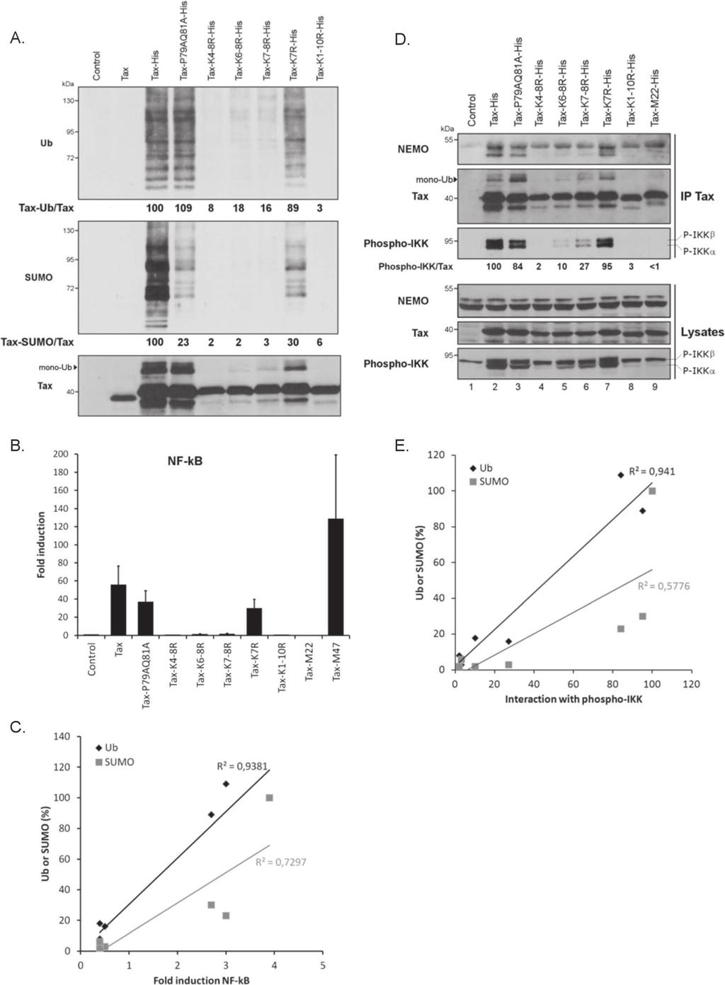 Bonnet et al. Retrovirology 2012, 9:77 Page 10 of 16 http://www.
