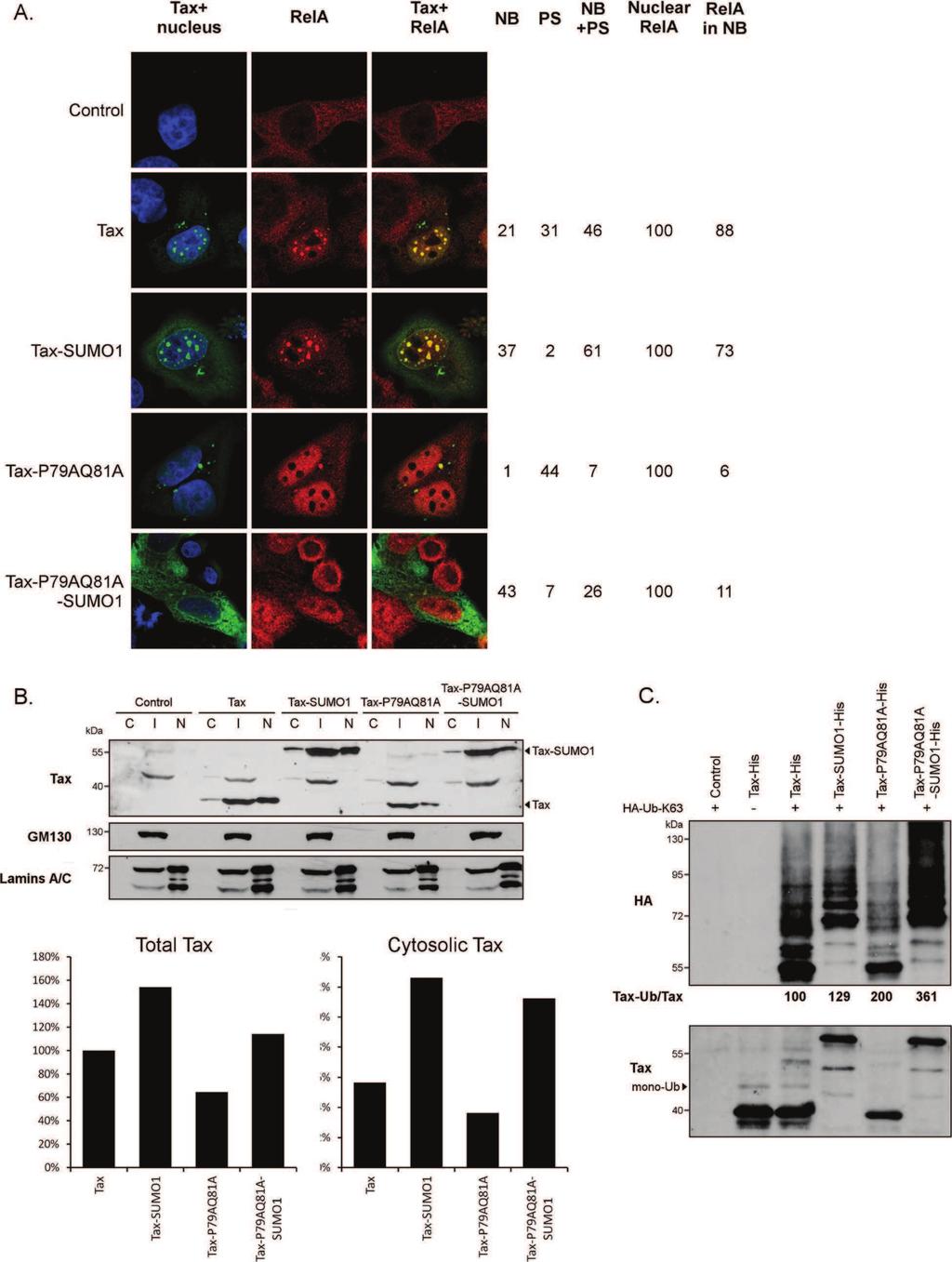 Bonnet et al. Retrovirology 2012, 9:77 Page 12 of 16 http://www.