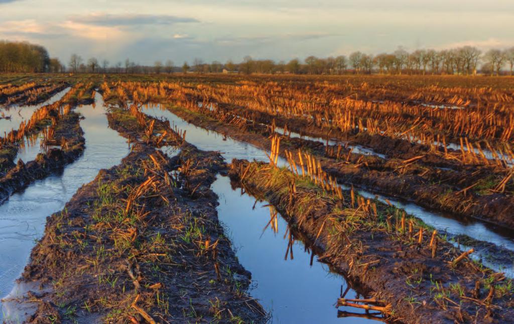 4 Πλεονάζοντα ύδατα σε καλλιεργήσιμες εκτάσεις καθιστούν το όργωμα του εδάφους