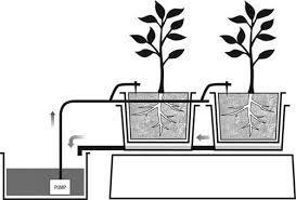 ΕΡΑΣΙΤΕΧΝΙΚΗ ΥΔΡΟΠΟΝΙΑ Στην υδροπονία δεν καλλιεργούμε στο έδαφος.