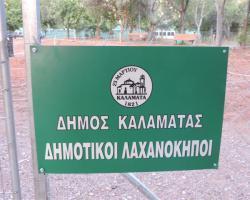 Δημοτικοί Λαχανόκηποι Ο Δημοτικός Λαχανόκηπος έχει ιστορία τουλάχιστον 150 χρόνια για την Τοπική Αυτοδιοίκηση σε