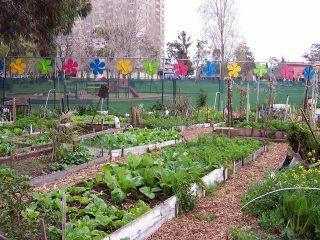 Αρκετοί Δήμοι Στην Ελλάδα έχουν πρόσφατα δημιουργήσει δημοτικούς λαχανόκηπους (Καλαμάτα, Λάρισα, Βέροια, Τρίκαλα,