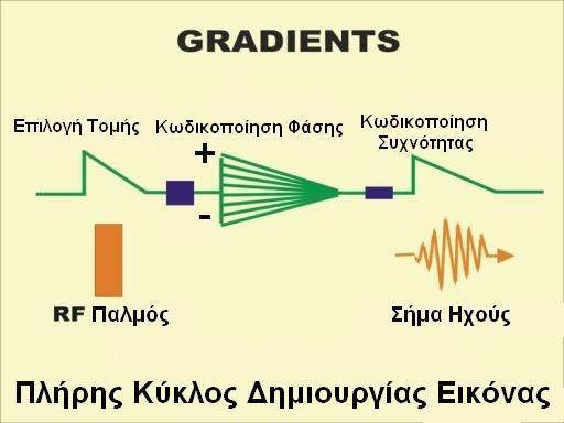 1. Τα βαθμιδωτά πεδία δεν έχουν απολύτως καμία διαφορά όσον αφορά την φύση τους. 2. Η διαφορά έγκειται στην σειρά εφαρμογής τους σε σχέση με την συλλογή του σήματος.