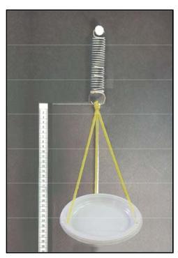 Δ1. Να περιγράψεις ένα πείραμα και τις μετρήσεις που θα κάνεις για να επιβεβαιώσεις την ακόλουθη υπόθεση: Ο χρόνος αιώρησης ενός αντικειμένου κρεμασμένου από σκοινί εξαρτάται από το βάρος του