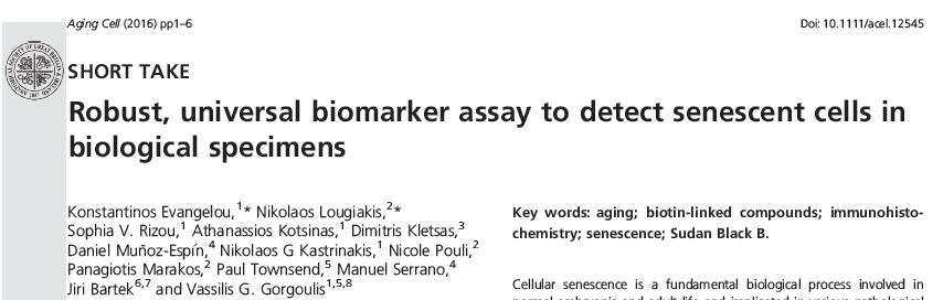 Ανίχνευση γηρασμένων κυττάρων σε