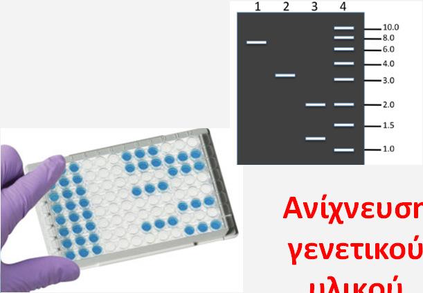 Ανίχνευση γενετικού