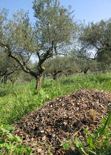 εφικτό, για την ίδια δραστική ουσία τα σκευάσματα που μπορούν να παραχωθούν και έχουν κοκκώδη μορφή.