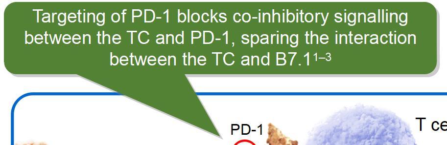 1, preventing down-regulation of T-cell activity 1 3 Anti-PD1 Targeting of PD-1 blocks co-inhibitory signalling