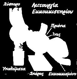 της εκκόκκισης.