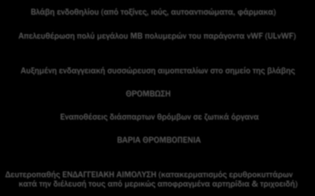 Βλάβη ενδοθηλίου (από τοξίνες, ιούς,