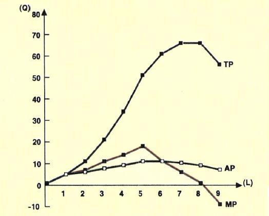 ΛΥΣΗ Α1. 1. Λ 2. Σ 3. Λ 4. Σ 5. Λ Α2.1. Β Α2.2. Δ ΘΕΜΑ Α. ΘΕΜΑ Β. Β1.