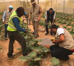 وقد تعاونت هيئة البيئة أبوظبي مع مجلس أبوظبي للجودة والمطابقة من أجل تطوير مختبر يمكنه إجراء كافة االختبارات المطلوبة بما في ذلك الفحوصات البيئية الخاصة بجودة التربة.