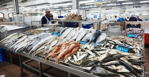المصائد السمكية ي سهم محصول المصائد السمكية المحلية ب 29% من المأكوالت البحرية في دولة اإلمارات العربية المتحدة 9.