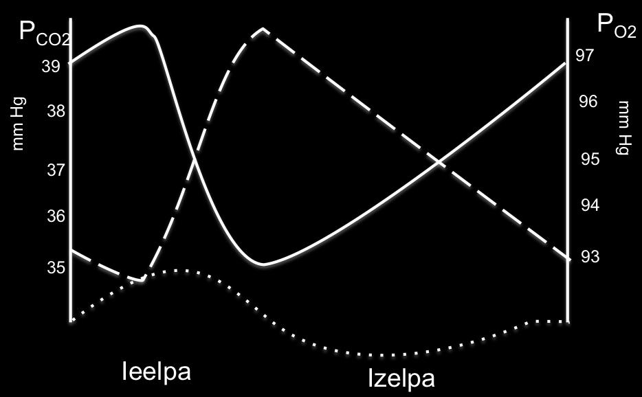 dzīvniekiem eritrocīti ir bez kodola Vislielākie eritrocīti ir organismiem ar žaunām 2.1. Izpēti grafiku.