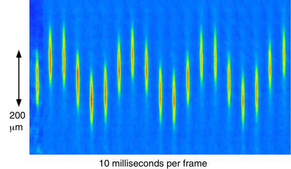 Collective excitations of of BEC BEC Jin et al.