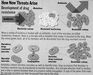 μικροβίων των φυσιολογικών