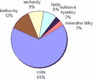 Bielkoviny Tuky Cukry Voda a minerálne látky Úloha č.