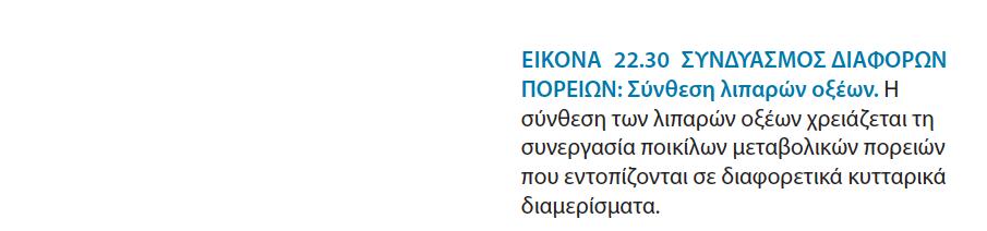 Ο ( επακόλουθη κυτταρική αμάπτυξη),μπορεί να οδηγησει