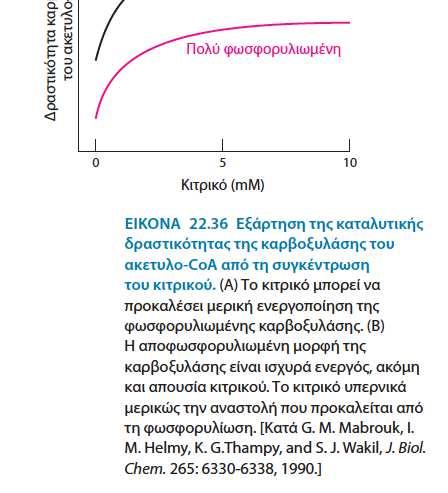 των Λ.Ο.