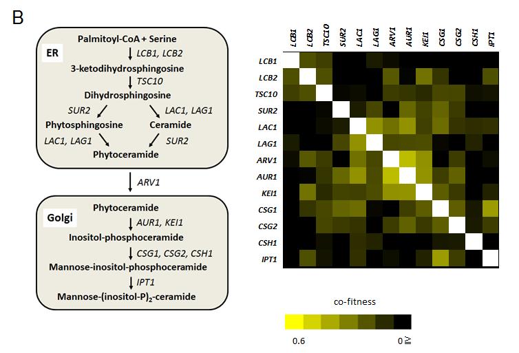 (http://fitdb.stanford.edu/) and visualized as a heatmap.