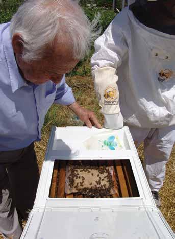 ΥΠΕΡ-ΤΡΟΦΕΣ ΜΕΛΙΣΣΩΝ «Bee-Feed» (στερεές - υγρές) Oι στερεές τροφές μας τοποθετούνται στο κέντρο της κυψέλης και συγκεκριμένα πάνω από το γόνο, ανοίγοντας στη νάιλον συσκευασία μια αρκετά μεγάλη
