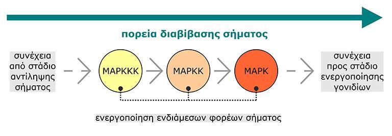 Ακολουθίες