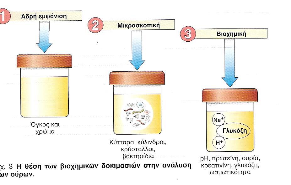 ΓΕΝΙΚΗ