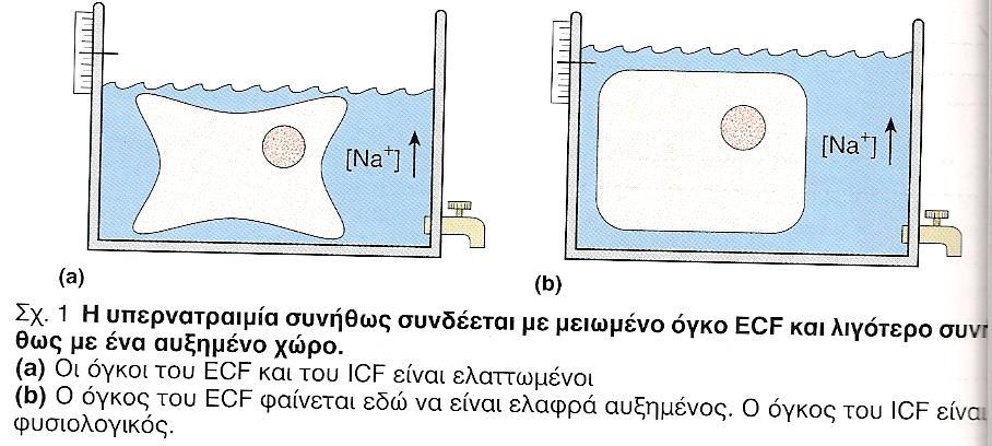 ΥΠΕΡΝΑΤΡΙΑΙΜΙΑ 1) ΕΞΑΝΤΛΗΣΗ ΝΕΡΟΥ (ΑΠΩΛΕΙΑ ΝΕΡΟΥ Ή ΜΕΙΩΜΕΝΗ