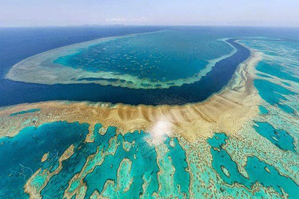 Τα κοραλλιοειδή ροδοφύκη μπορούν να σχηματίζουν μια "κορυφογραμμή" που απορροφά την ενέργεια των κυμάτων και προστατεύει