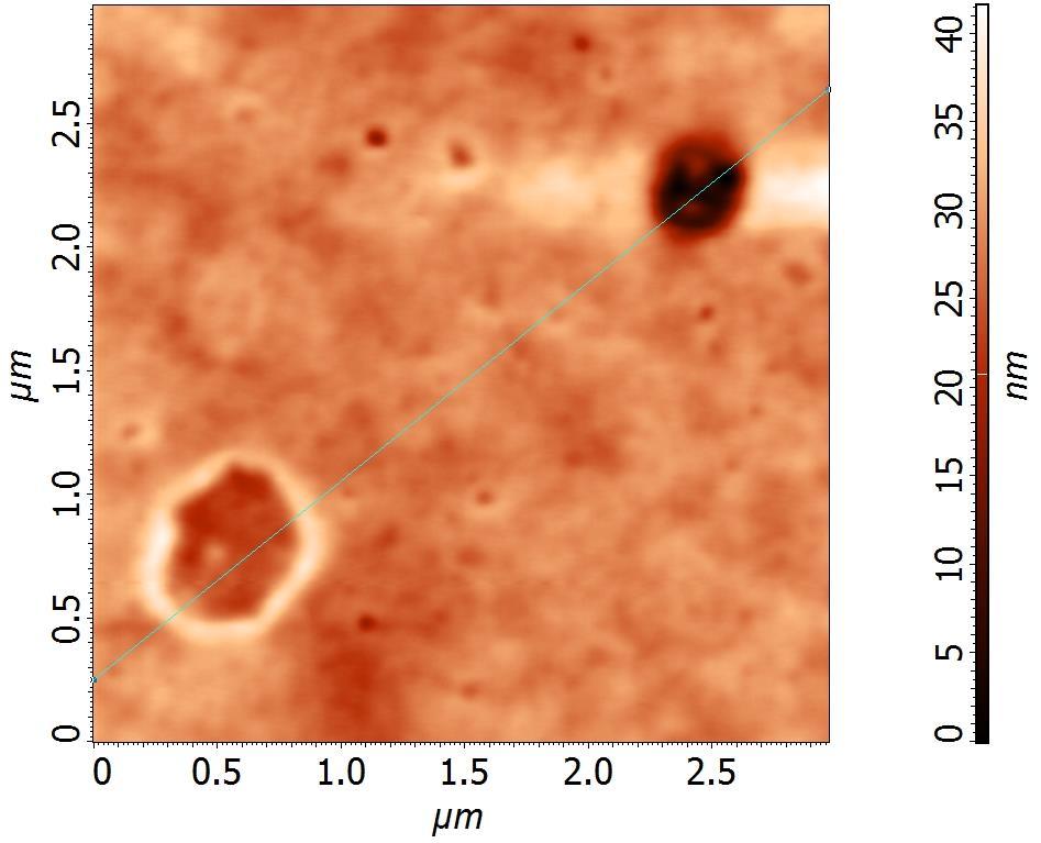 διάμετρος 300 nm - 1 μm βάθος έως 20