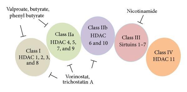 HDAC CLASSES Sharma S.