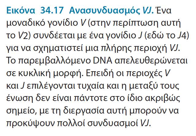 Δλώ νη πεξηνρέο V θαη C βξίζθνληαη καθξηά ζην εκβξπηθό
