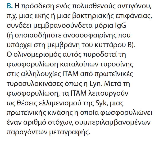 ζεκαηνδνηηθά κνλνπάηηα πνπ νδεγνύλ ζηε δηαθνξνπνίεζε ησλ