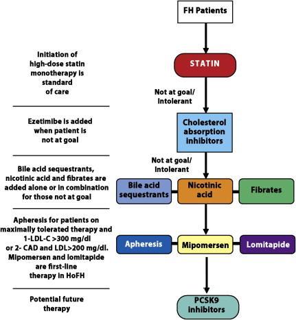 Treatment Algorithm for Pts With FΗ (Adapted with permission from Goldberg et al.) Goldberg et al.