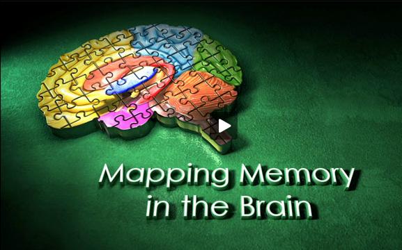 HHMI: Mapping the Brain and Memory Lectures Memories Are Made of This by Eric R.