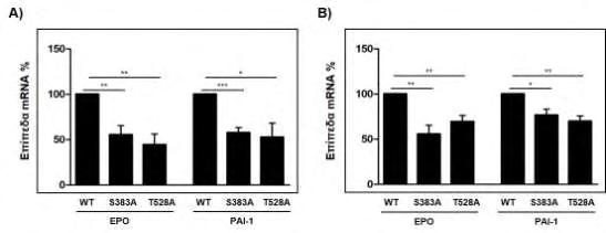 Γ.1.3.4 Μελέτη της επίδρασης των ανενεργών μορφών του HIF-2α στην έκφραση ενδογενών γονιδίων-στόχων του.