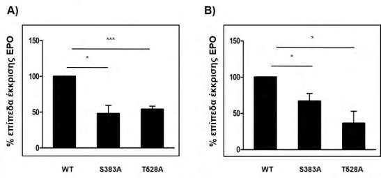 Huh7 HepG2 Εικόνα 59: Επίδραση των μεταλλάξεων S383A και T528A στην εξαρτώμενη από τον HIF-2 έκκριση EPO.