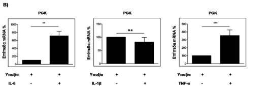 απουσία ή παρουσία των παραγόντων φλεγμονής IL-6, IL-1β και TNF-α (10 ng/ml) με τη μέθοδο της Real Time PCR. Οι τιµές αποτελούν το µέσο όρων 4 τιµών από 2 ανεξάρτητα πειράµατα.